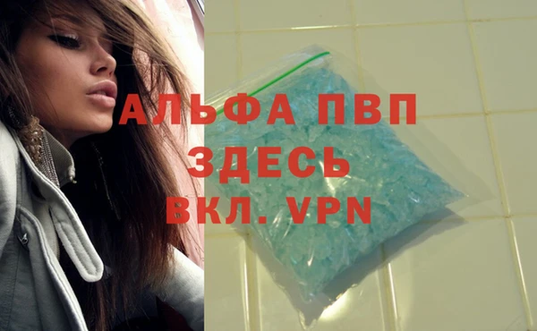 ПСИЛОЦИБИНОВЫЕ ГРИБЫ Заволжье