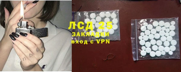 ПСИЛОЦИБИНОВЫЕ ГРИБЫ Заволжье