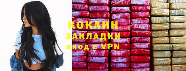 ПСИЛОЦИБИНОВЫЕ ГРИБЫ Заволжье