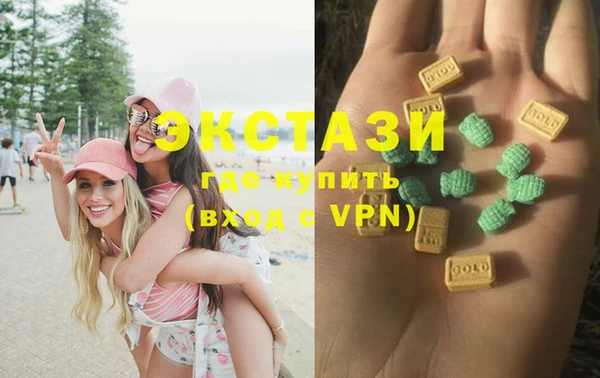 PSILOCYBIN Ельня
