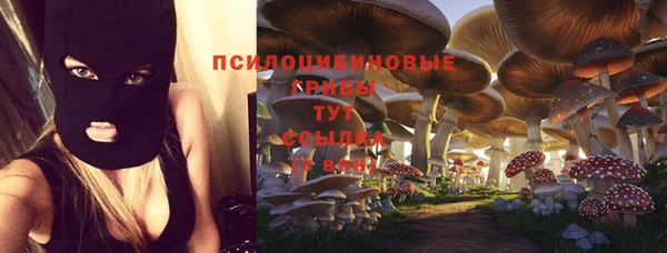 экстази Заволжск